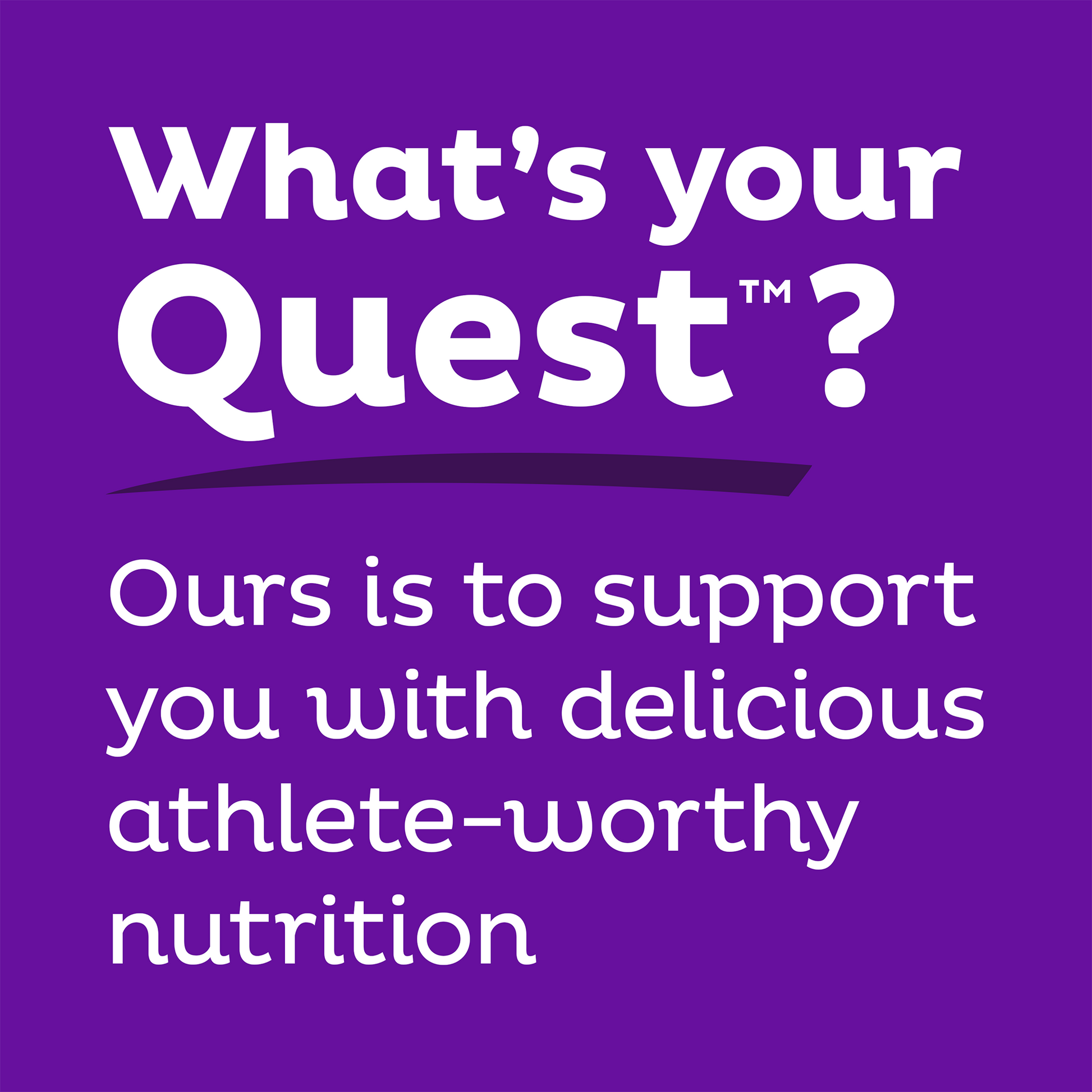 double-chocolate-chunk-protein-bars-s1 qst-000241_double-chocolate-chunk-protein-bars_9.png